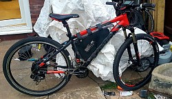 Custom electric bike